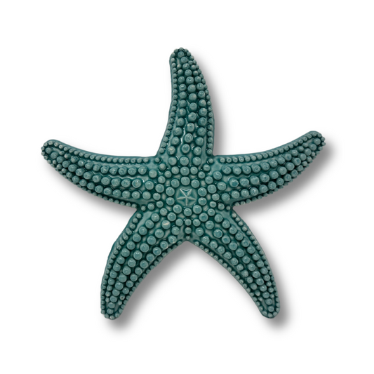 Toocook Starfish in glazed ceramic Wall Decoration and Home Furnishings, Handcrafted, Gift Idea Made in Italy