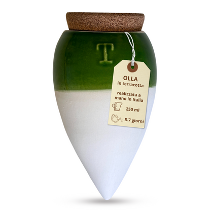 Olla in Terracotta Artigianale Bianca/Verde per irrigazione Piante 250 ml