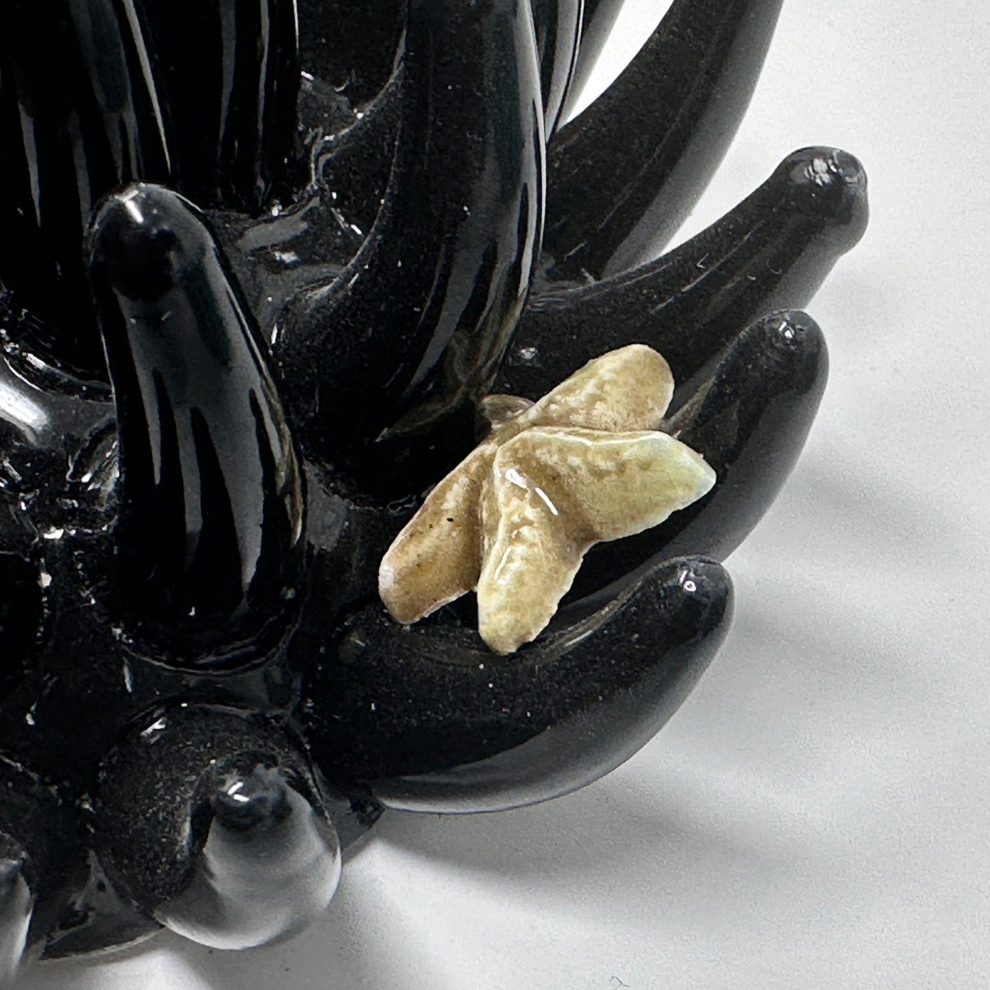 Toocook Soprammobile Anemone Marina in Ceramica Smaltata Artigianale Made in Italy – Scultura Decorativa Tema Mare, Ø 12 cm h 7 cm – Nero