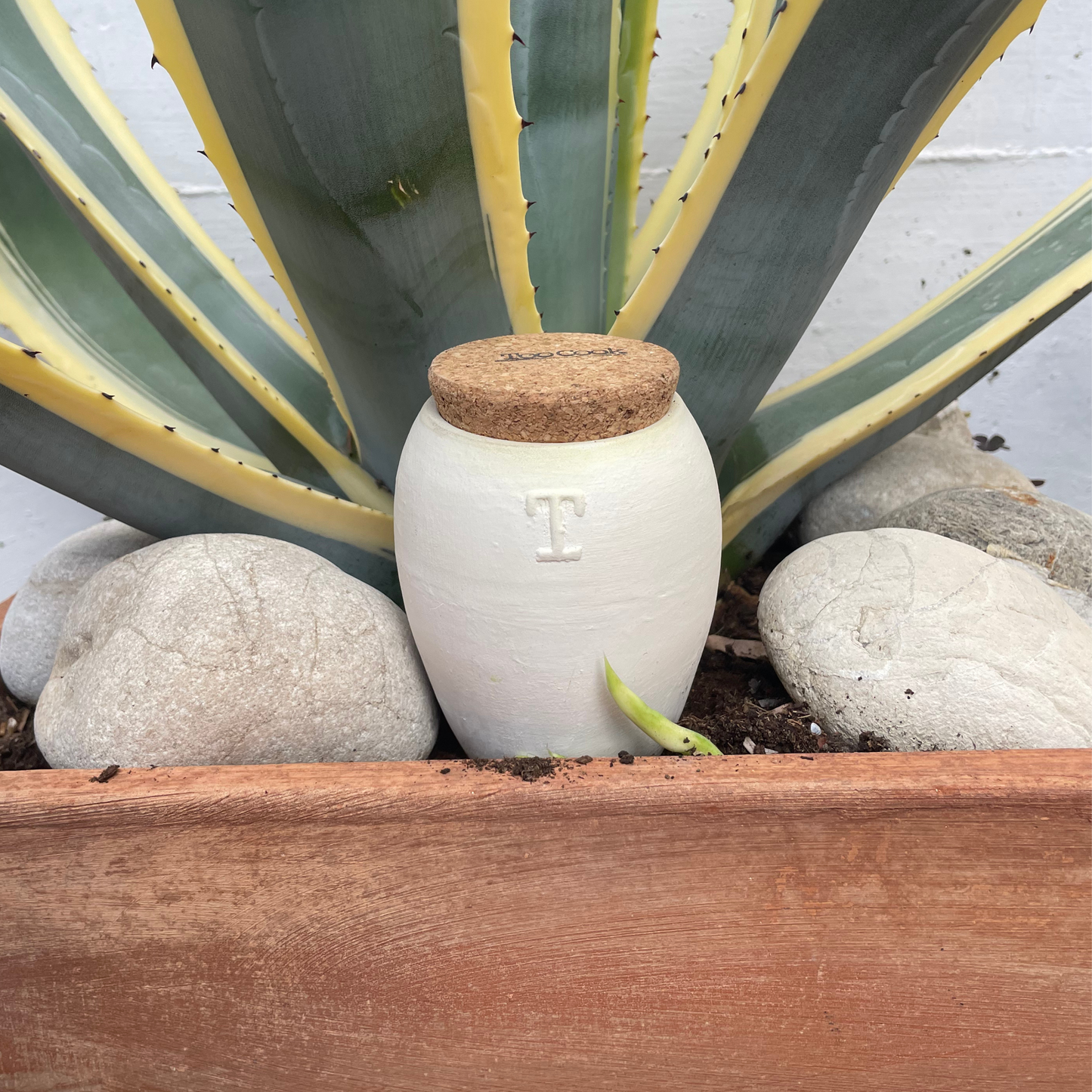 Toocook Artisan Terracotta Olla for Ecological and Natural Automatic Watering for Indoor and Outdoor Plants with autonomy of approximately 7 days - Handmade - 250 ml 