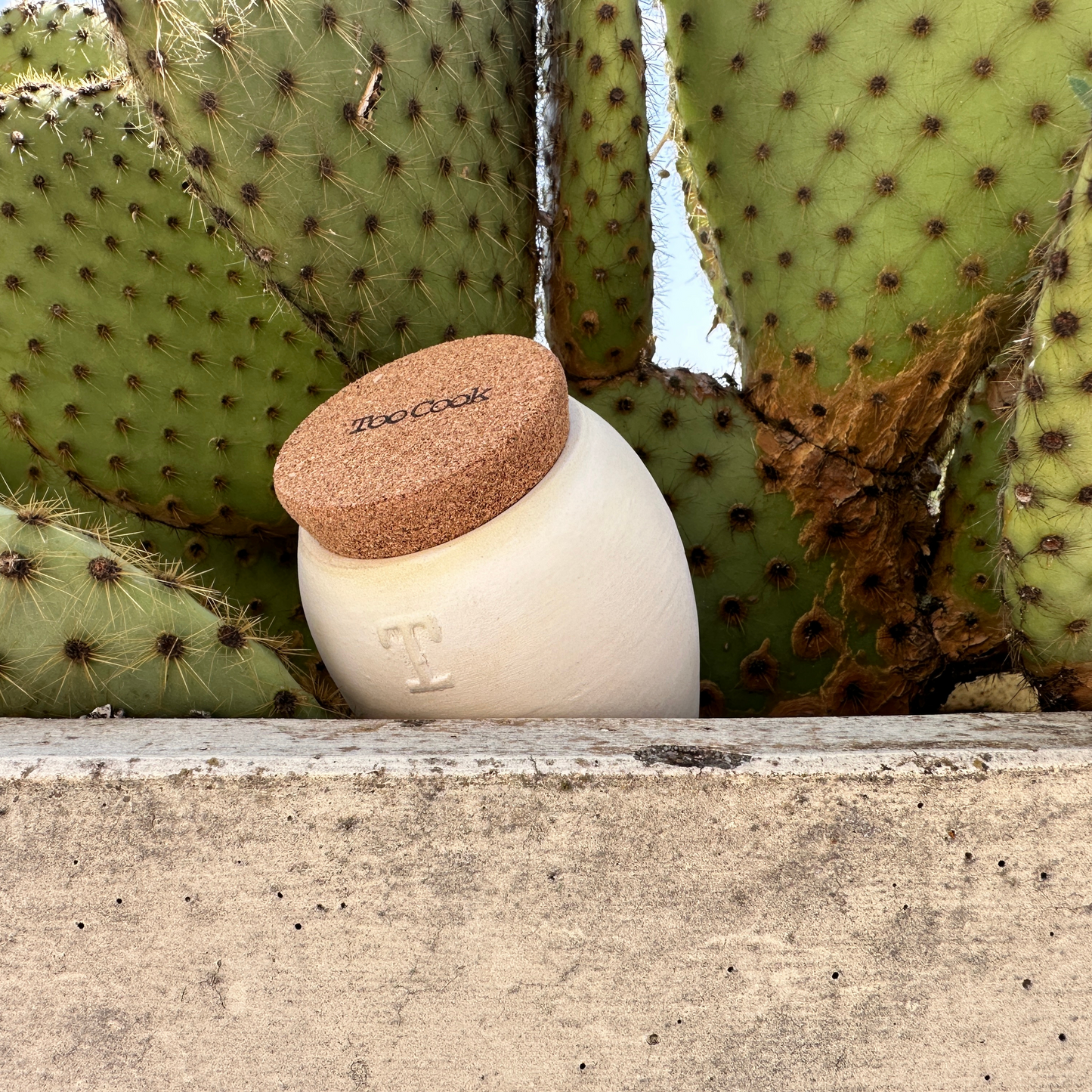 Toocook Artisan Terracotta Olla for Ecological and Natural Automatic Watering for Indoor and Outdoor Plants with autonomy of approximately 7 days - Handmade - 250 ml 
