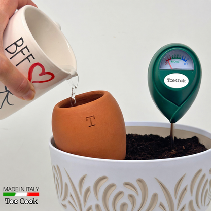 Olla in Terracotta Artigianale Smaltata Verde per irrigazione Piante 250 ml