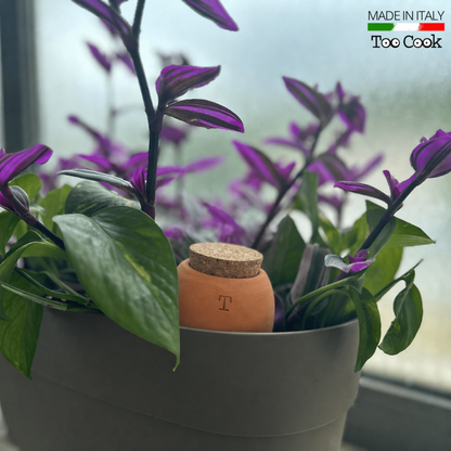 Olla in Terracotta Artigianale Smaltata Verde per irrigazione Piante 250 ml